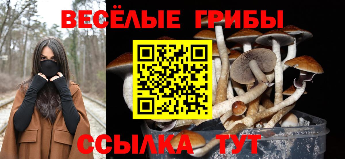 Люберцы  Галлюциногенные грибы ЛСД  Галлюциногенные грибы GOLDEN TEACHER  Вход с VPN 
