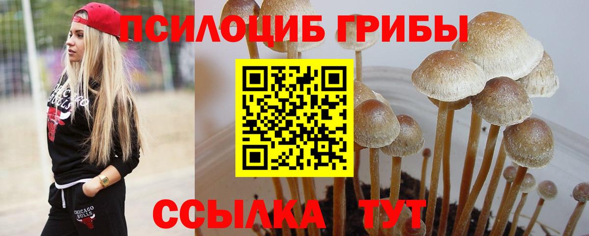 Галлюциногенные грибы GOLDEN TEACHER Люберцы